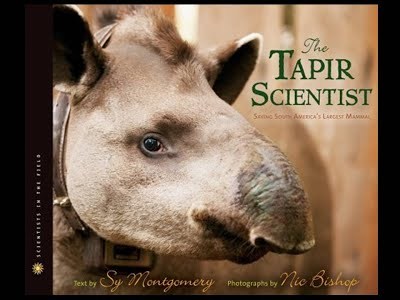 Tapir Scientist: Saving South America's Largest Mammal, The